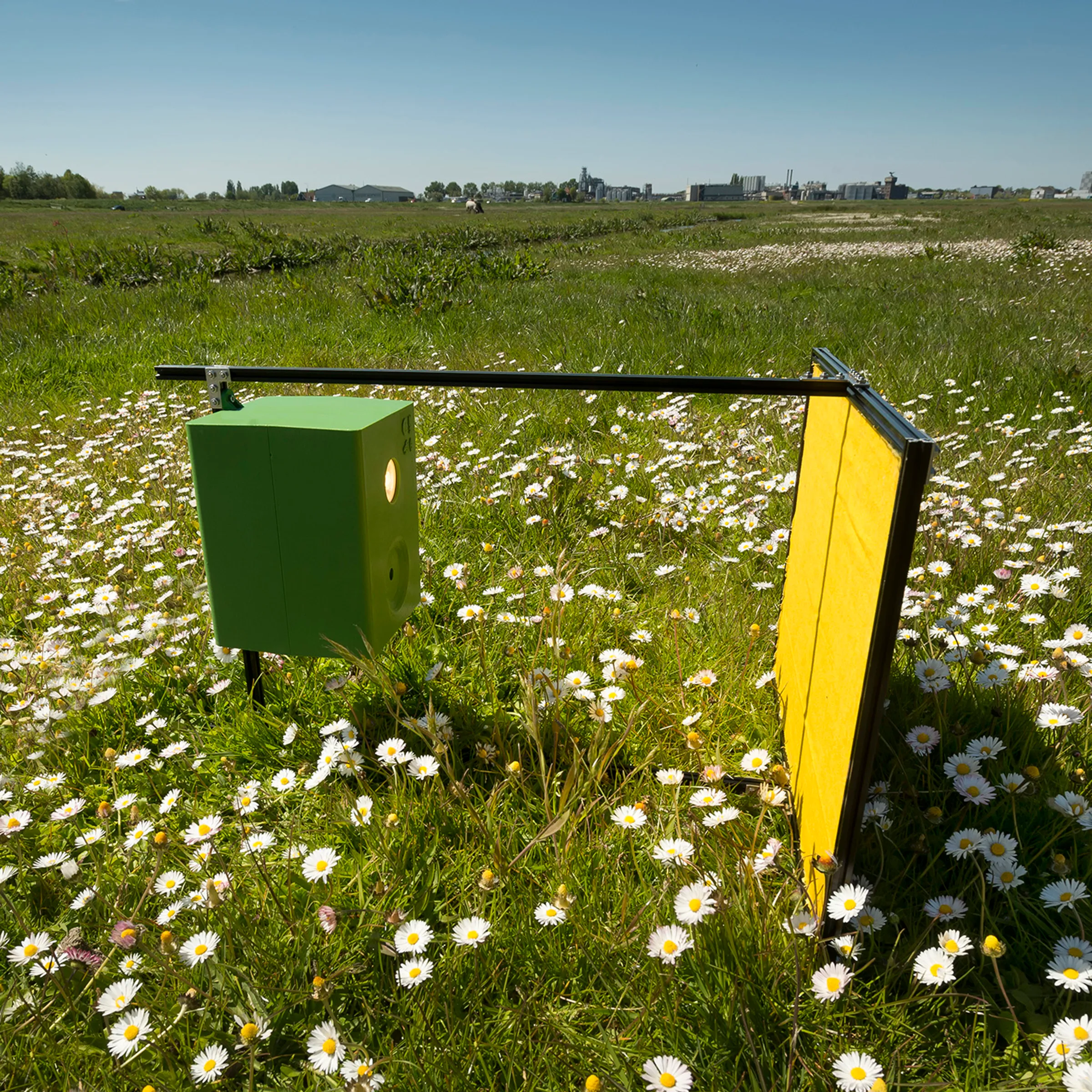 insectencamera diopsis