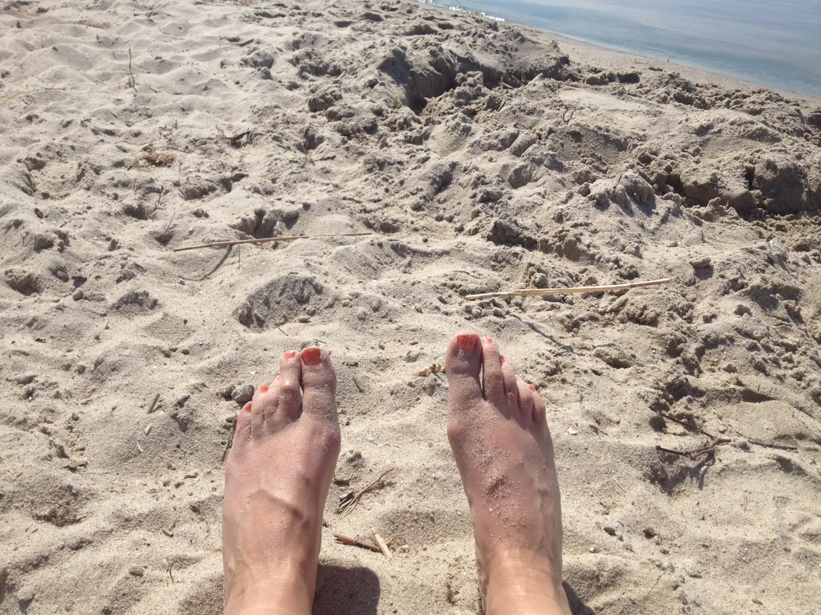 lemmer 2016 img 5742