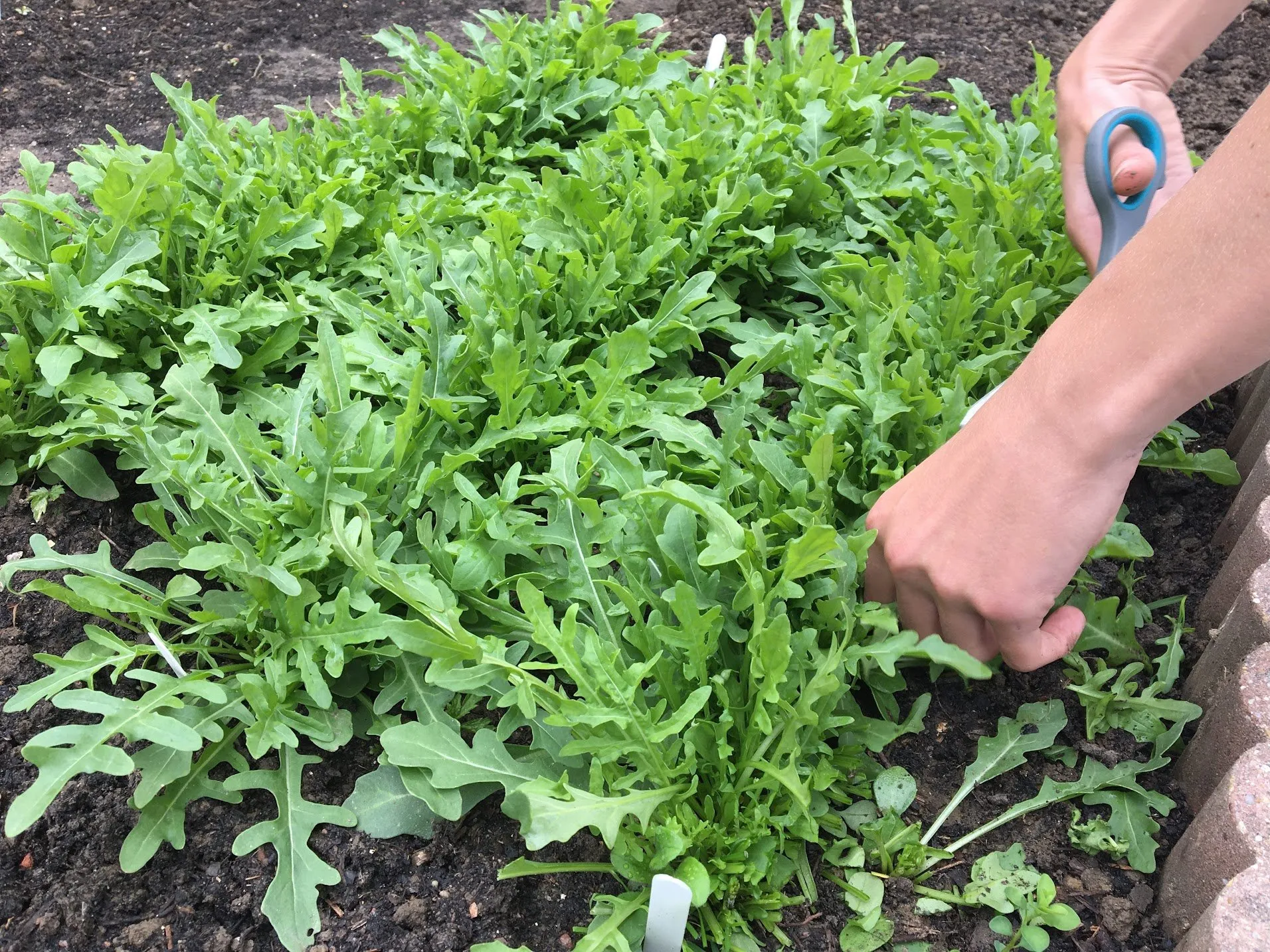 naakt tuinieren img 1421