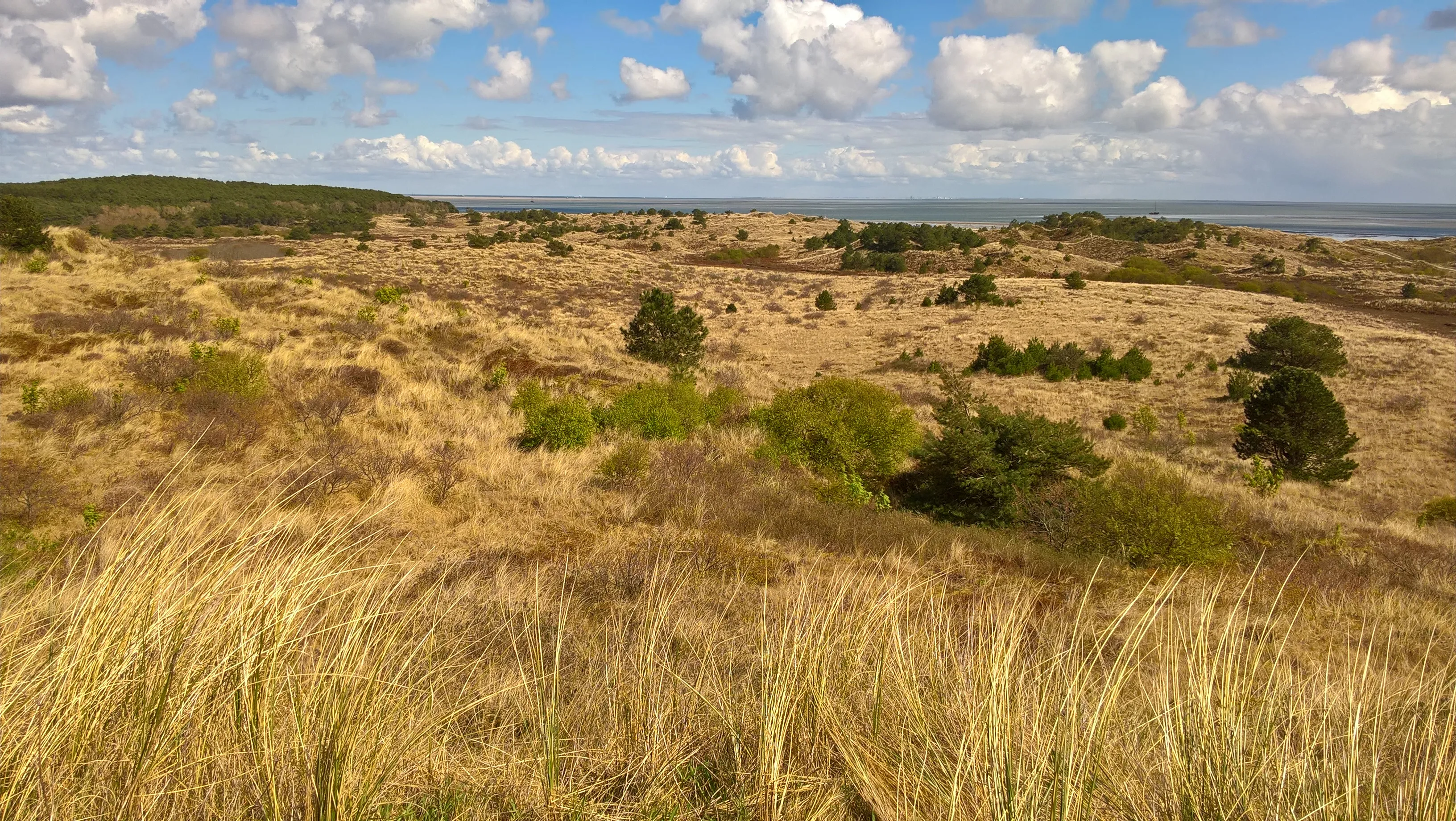 natura 2000 op vlieland