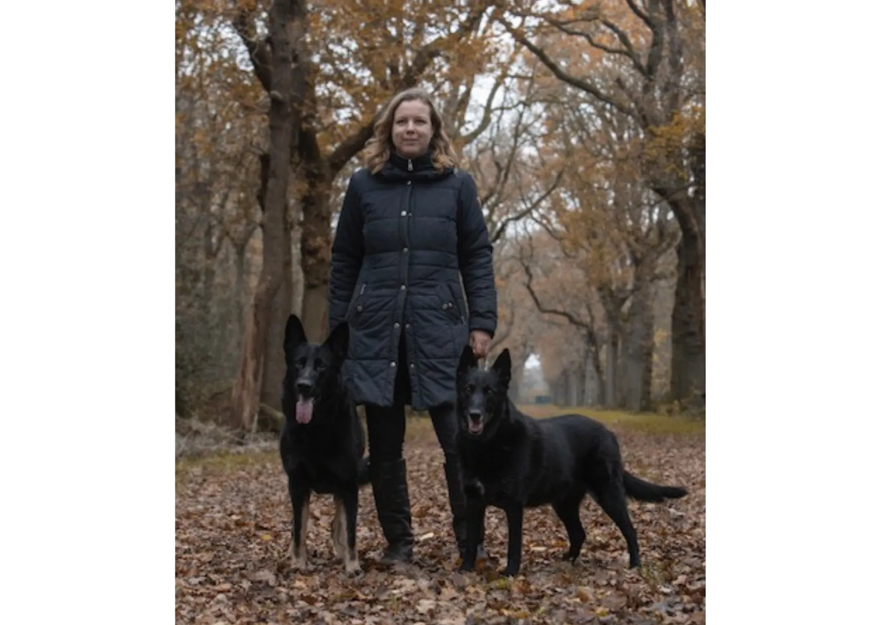 ontwerp zonder titel 7