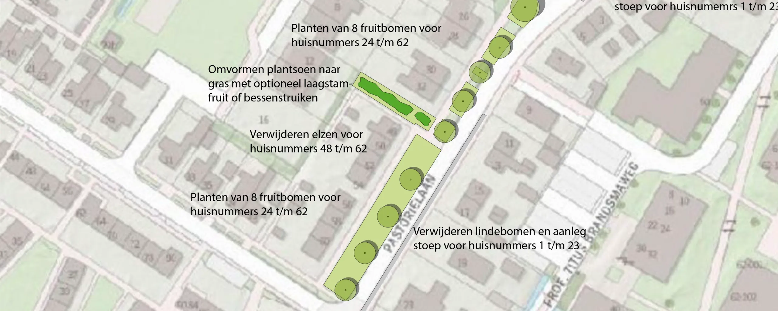 overzichtskaart ontwerp bomen