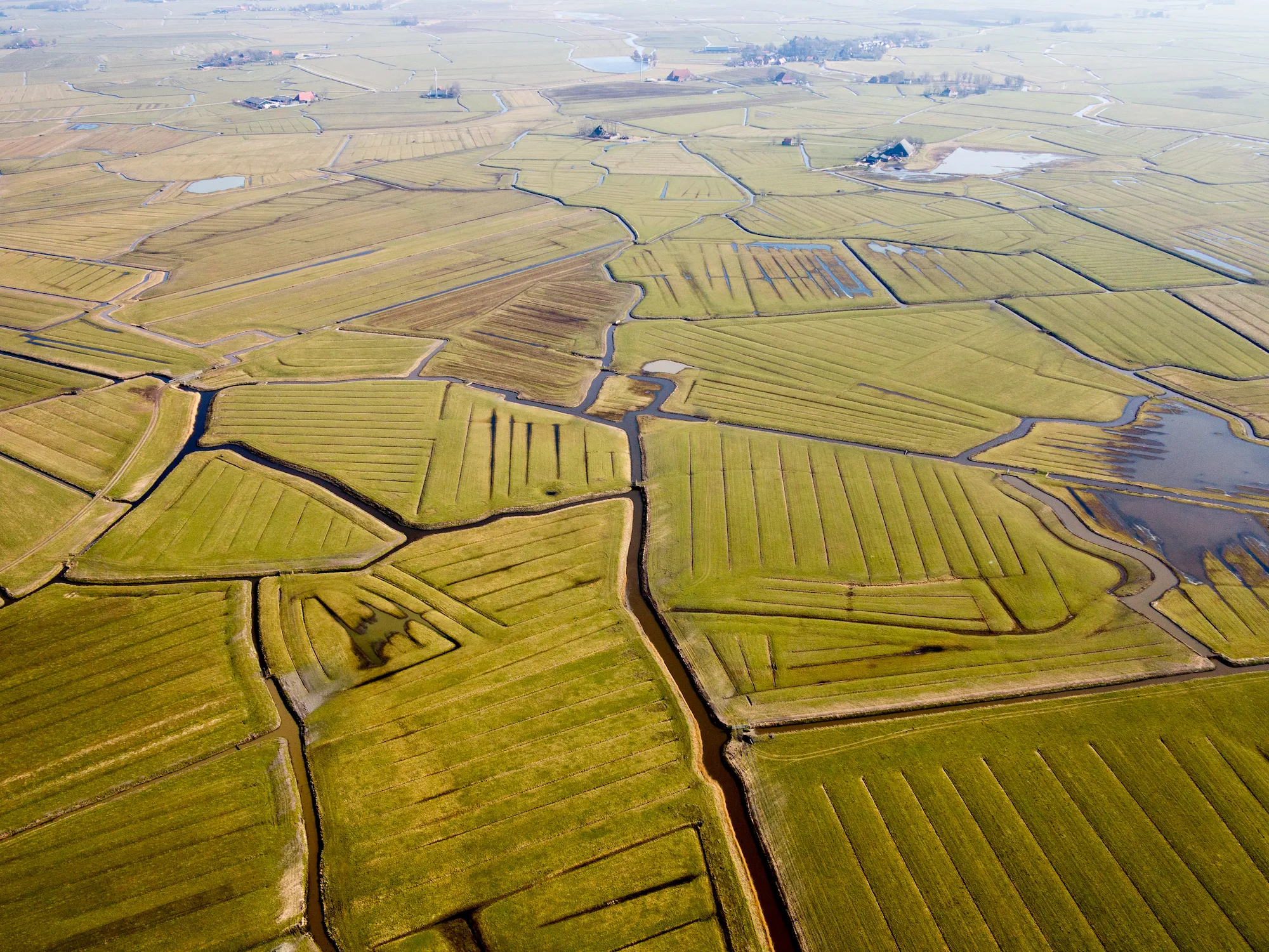 persbericht fries greppelland krijgt rijksgeld uit erfgoed deal foto simon de winter natuurmonumenten
