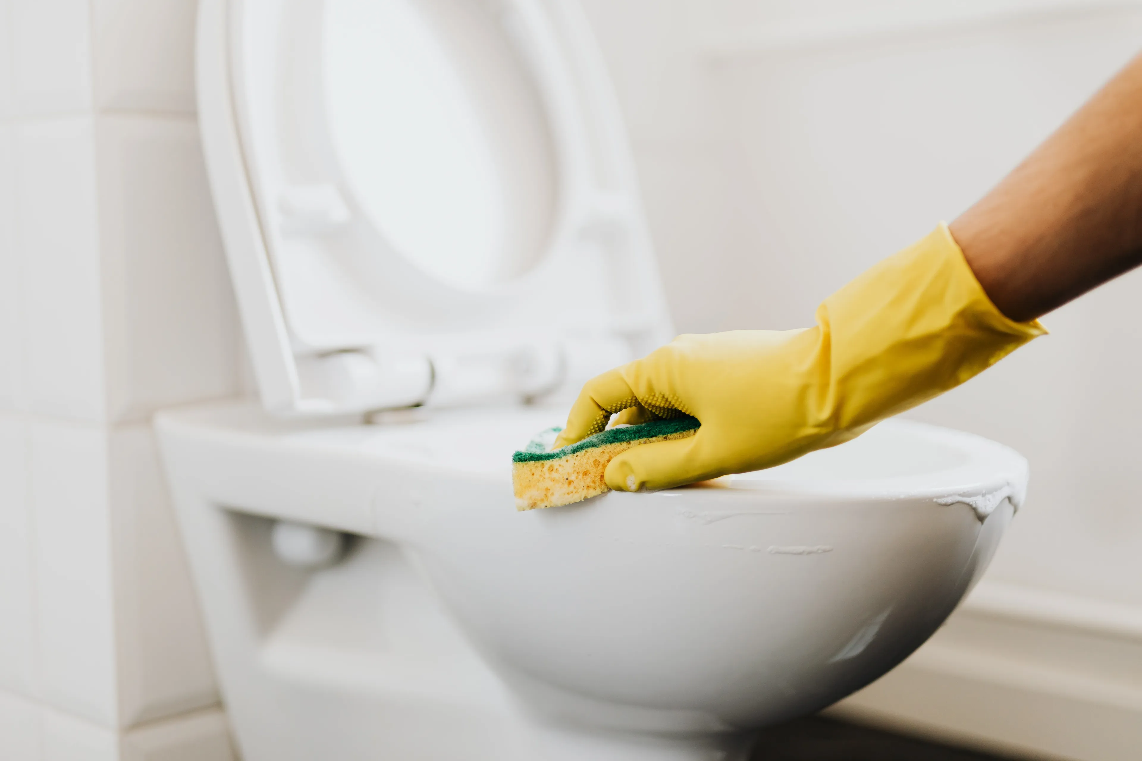 rechtenvrije afbeelding saniweb schoonmaken