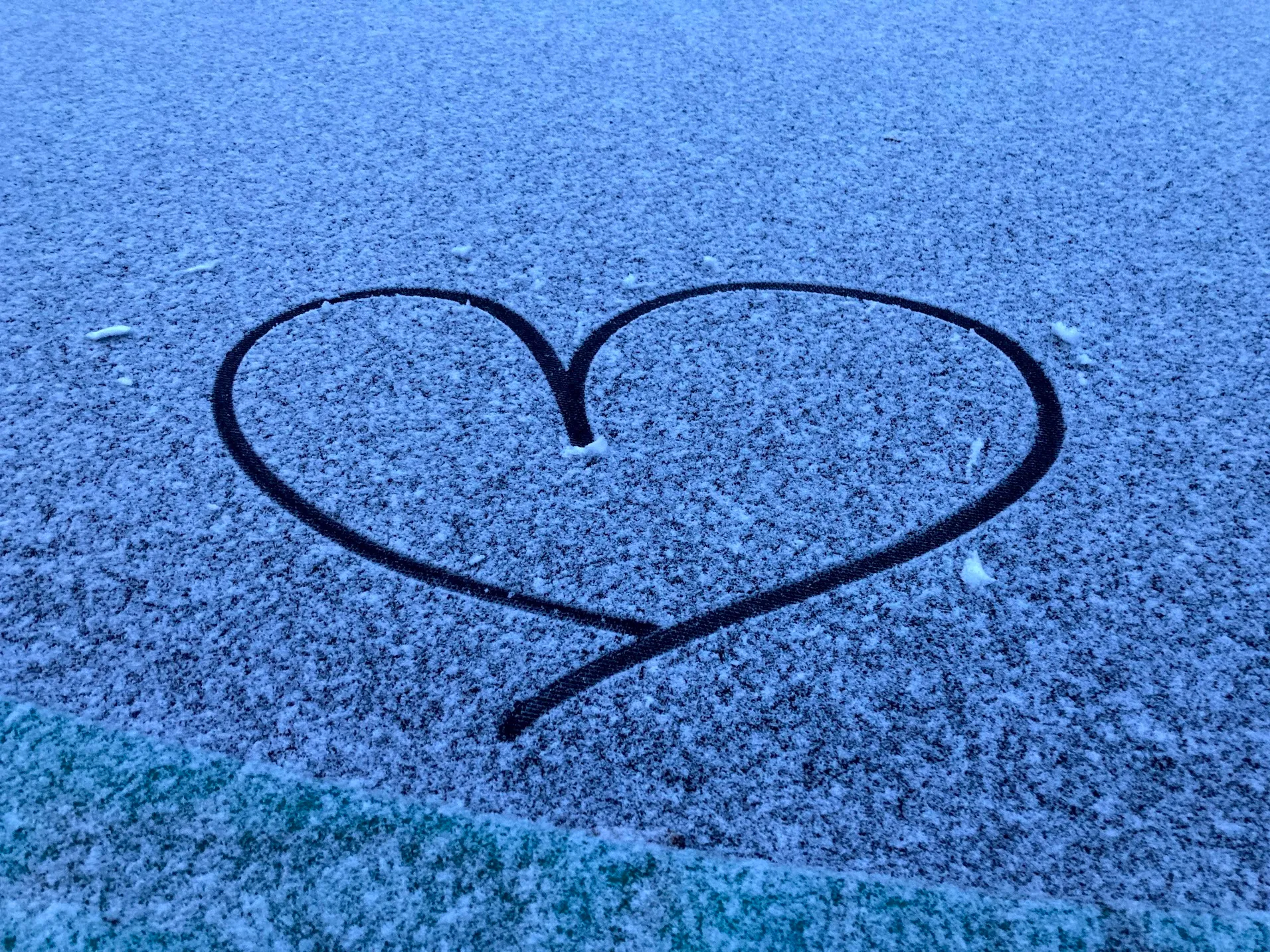 sneeuwhart 2021 img 4275