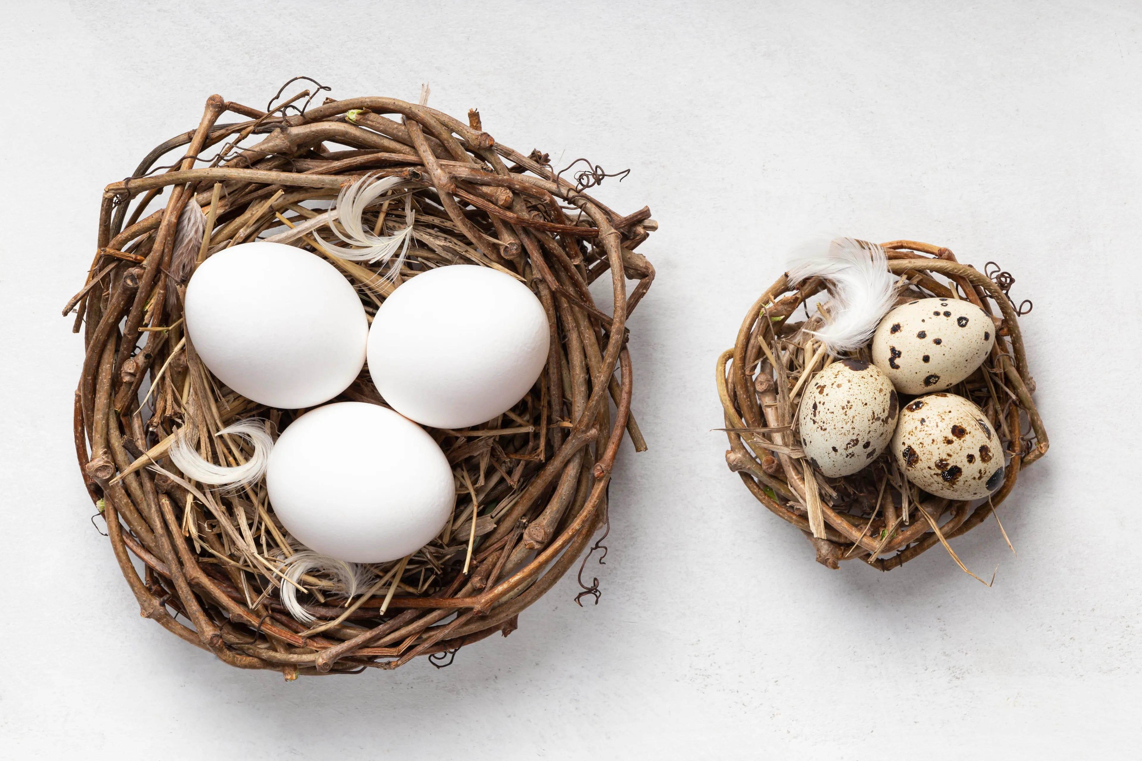 top view easter eggs bird nests feathers