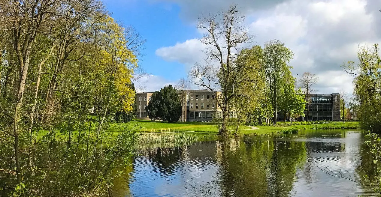 twitter at gemeentedfm