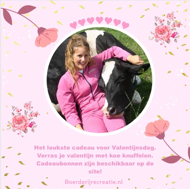 valentijnsdag koe knuffelen