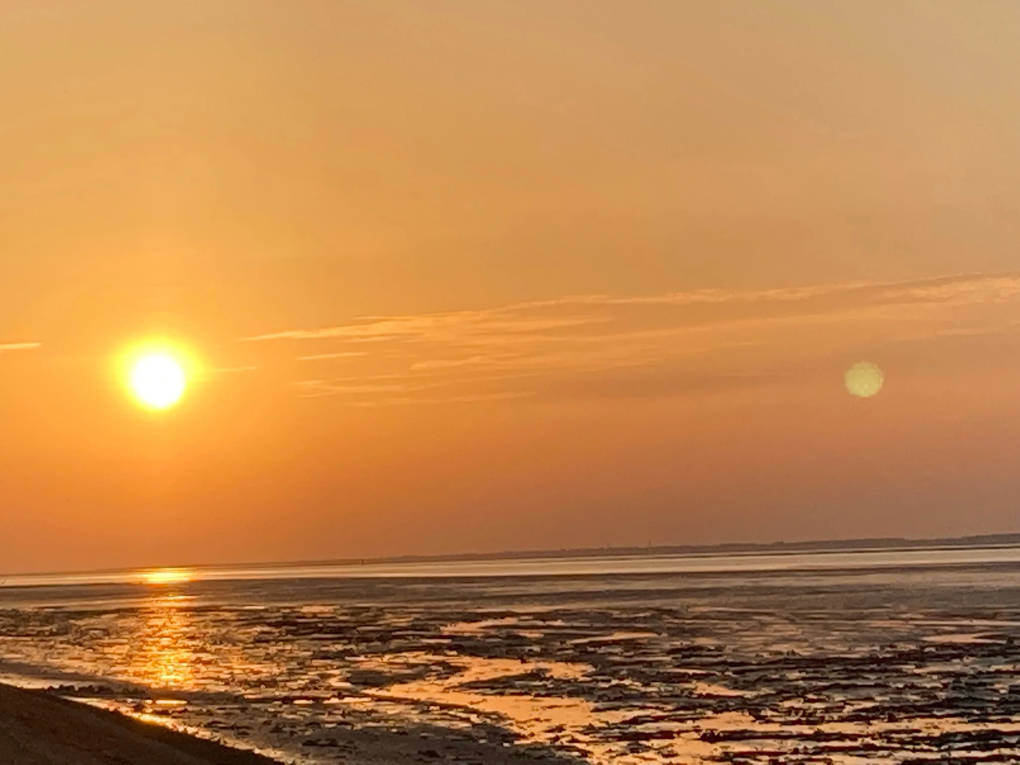 wadden 2022 img 0010