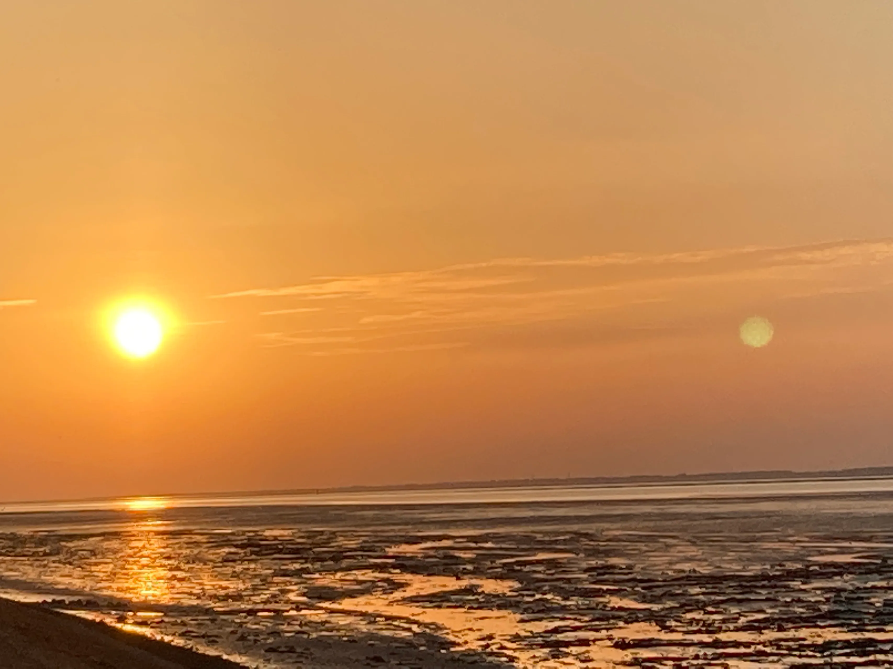 wadden 2022 img 0010