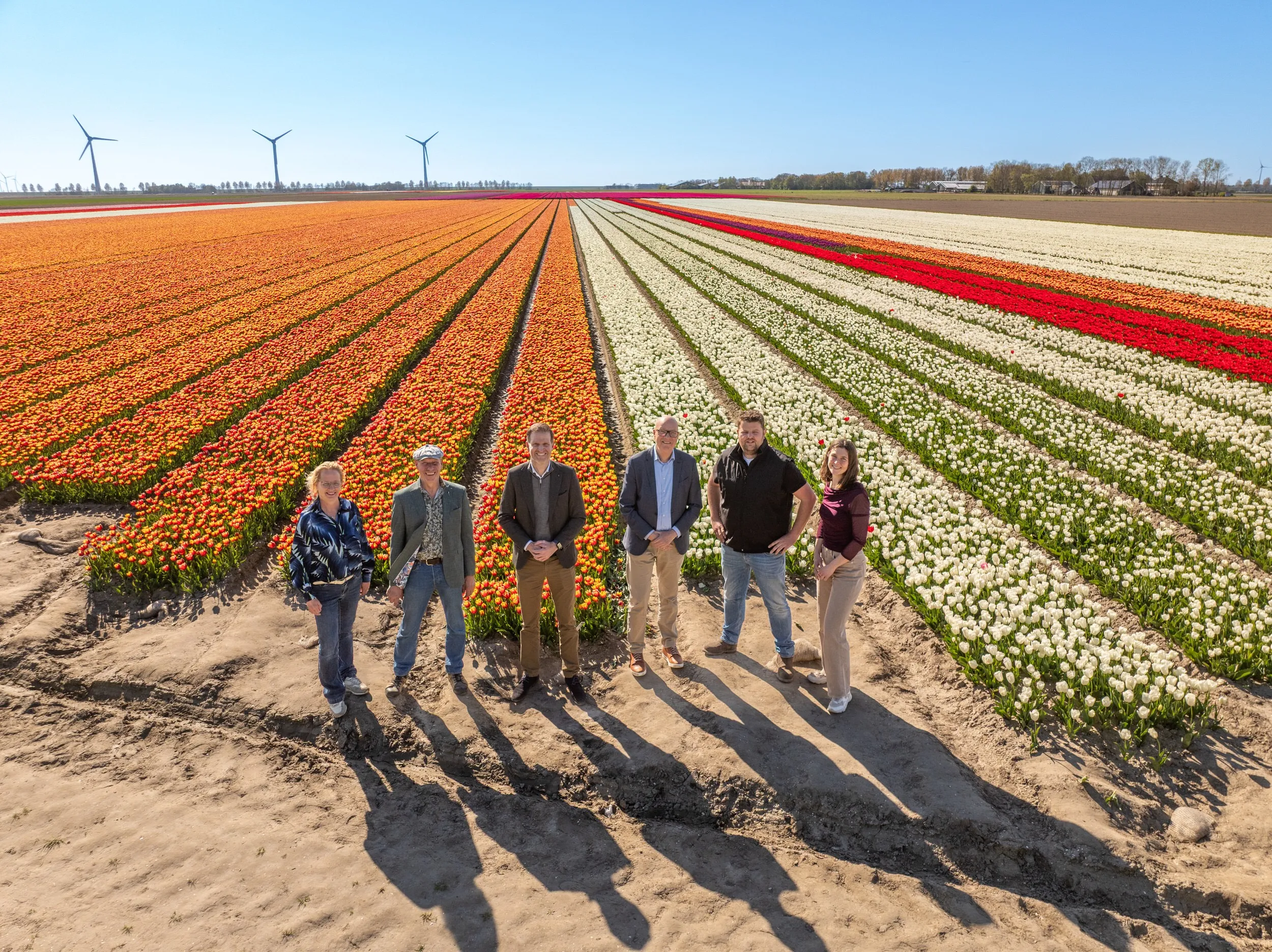 Rabobank-Tulpenroute-TulpenfestivalNOP_©David-Verolme