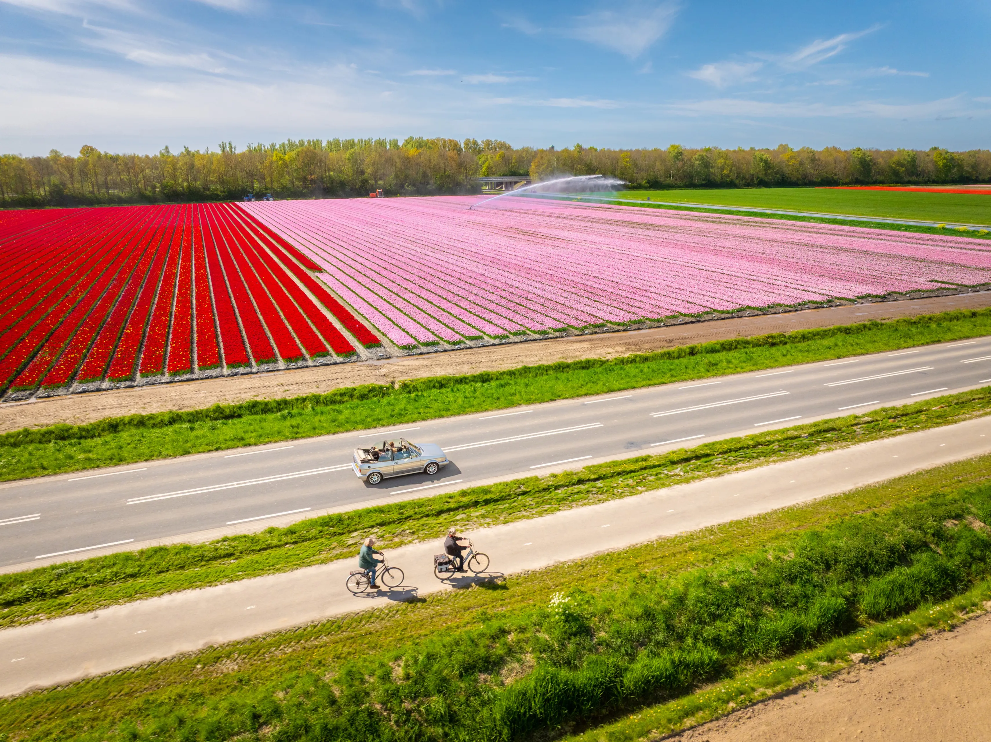 Tulpenfestival-2026_2_©David-Verolme