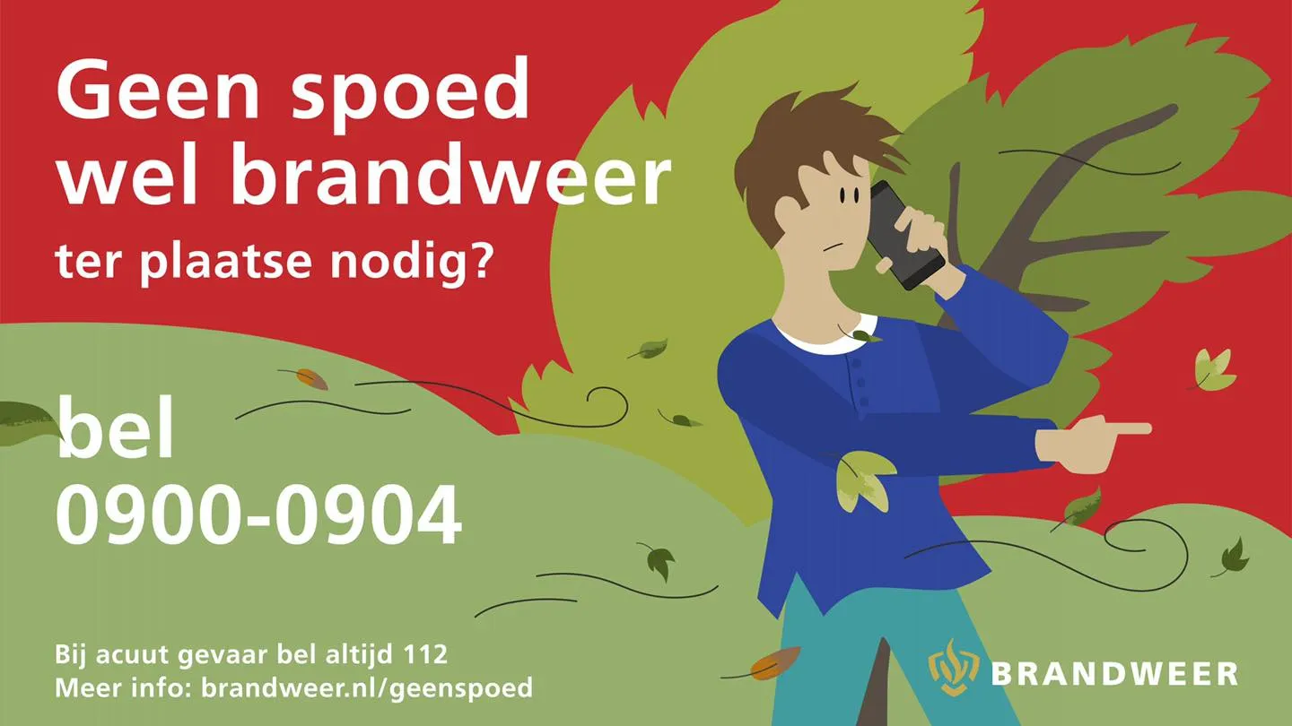 121263853 2786762144937947 47708682595550488 o