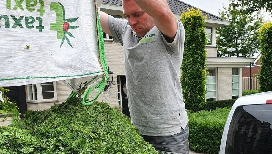 20200610 133103 915x518