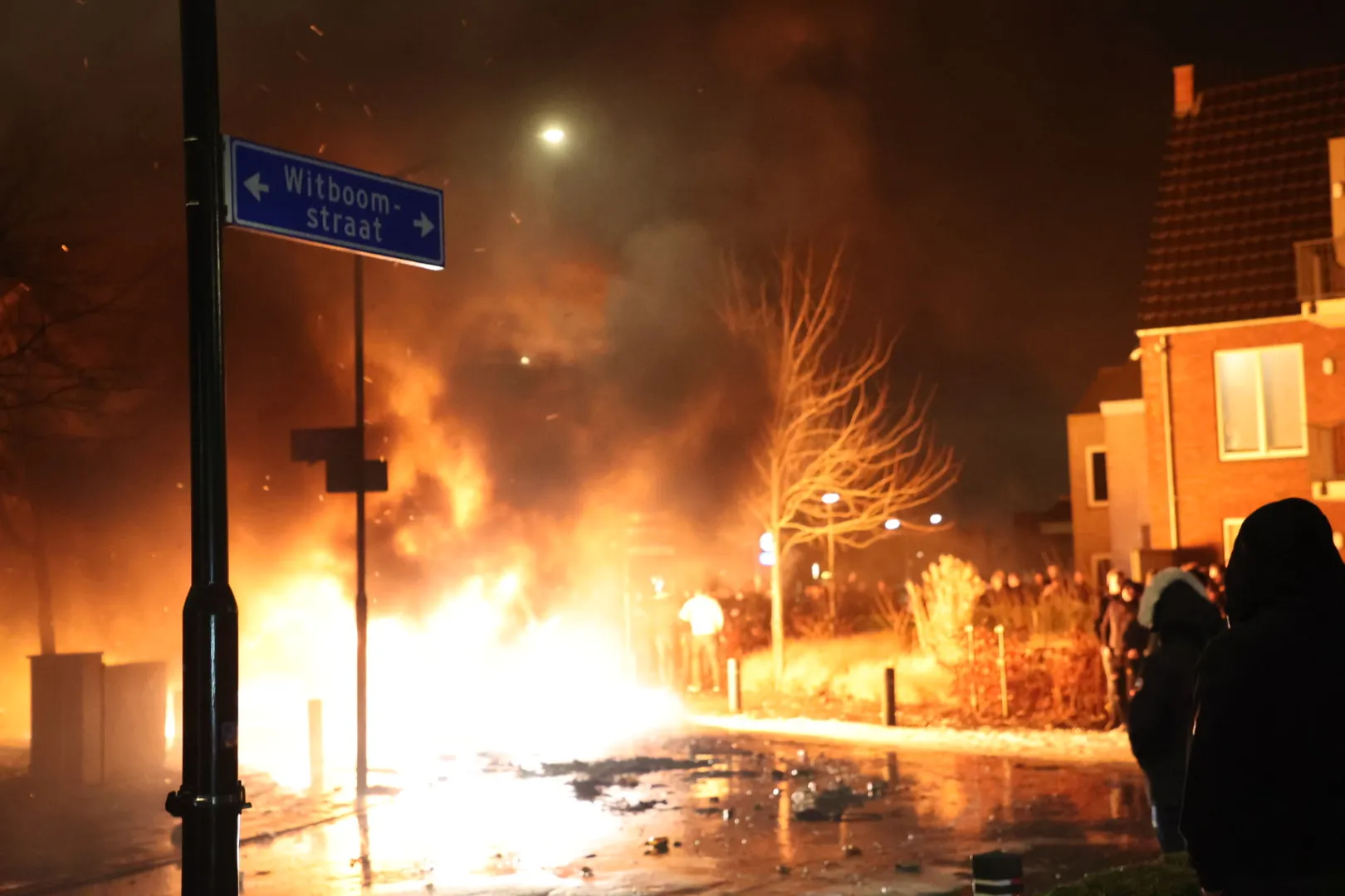 20211230230651 fpmb0466