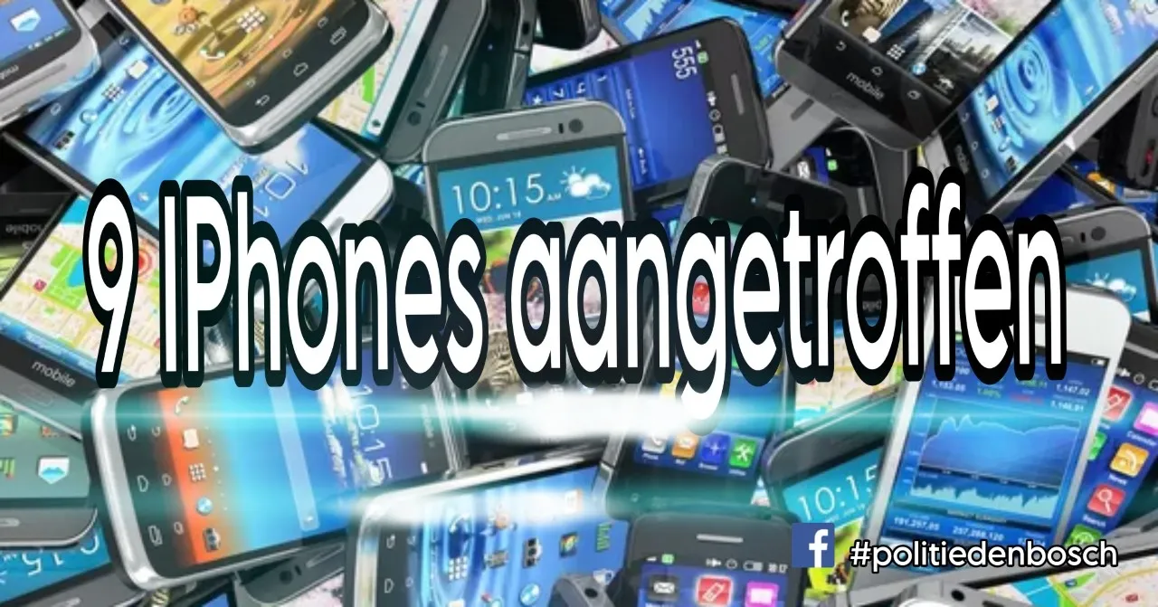 340942681 953765242425671 2198032264206283445 n