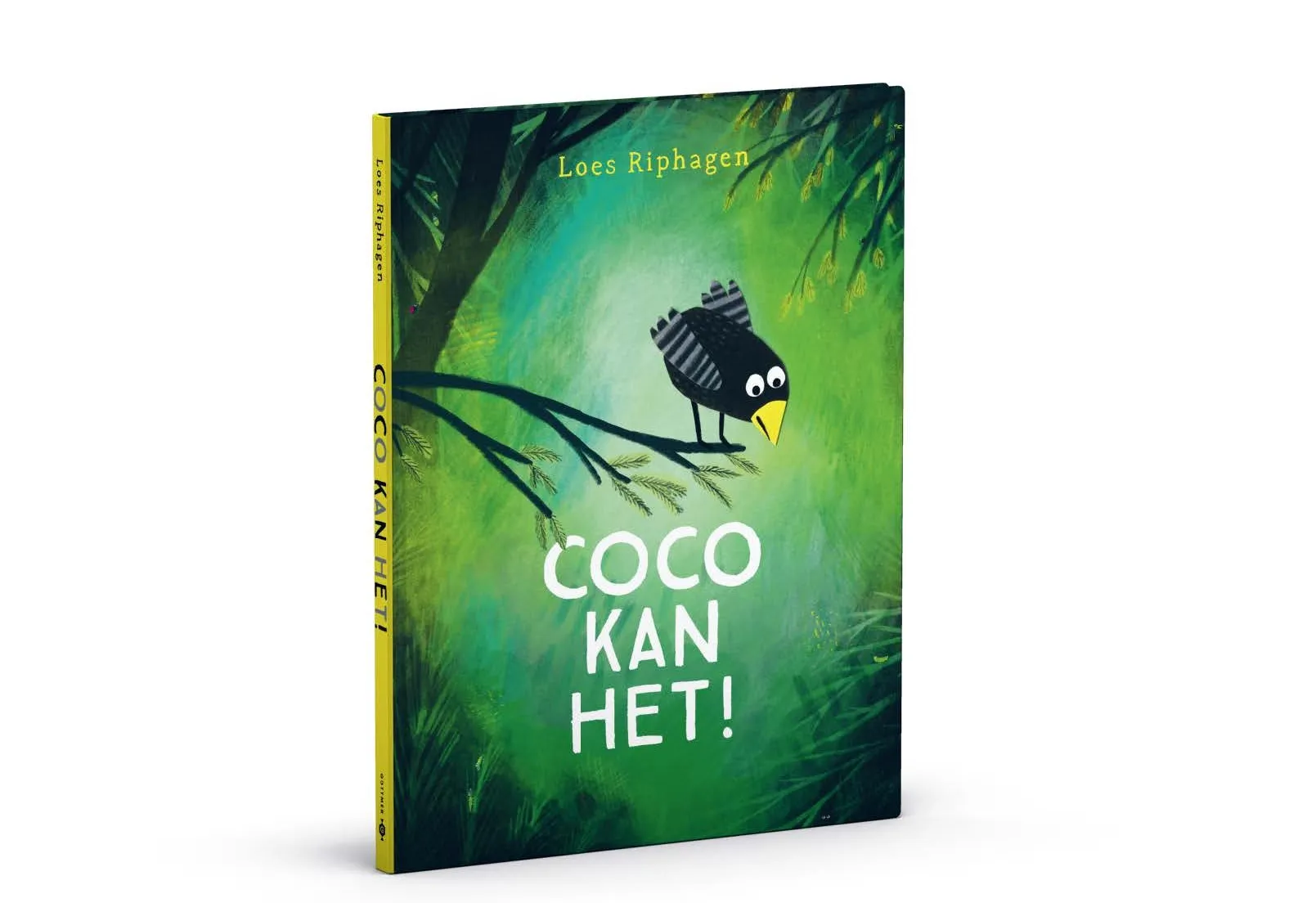 3d omslag coco kan het