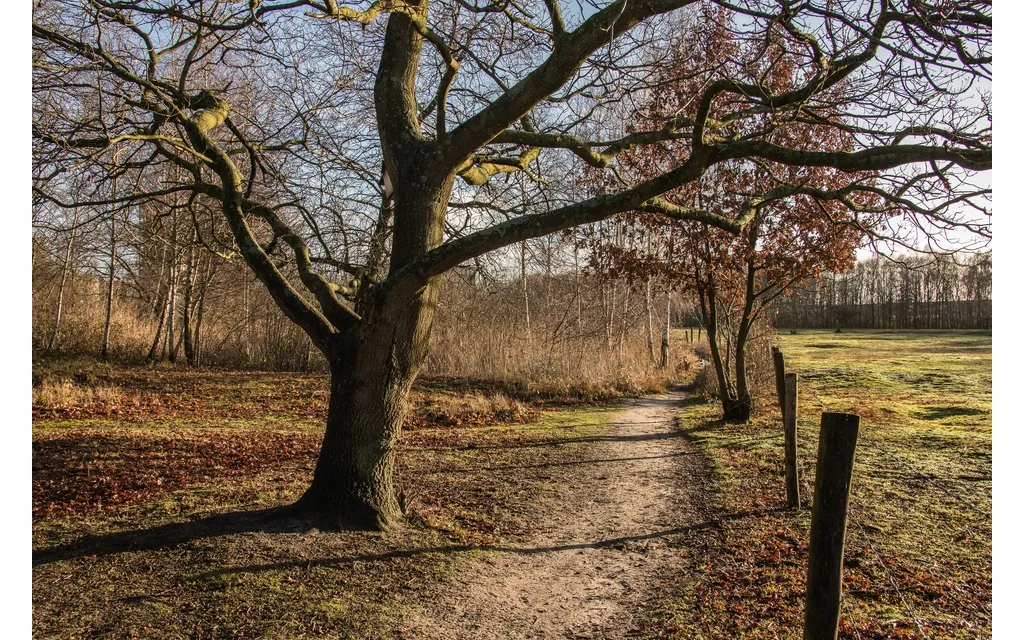 5 natuur landschap heinis 9