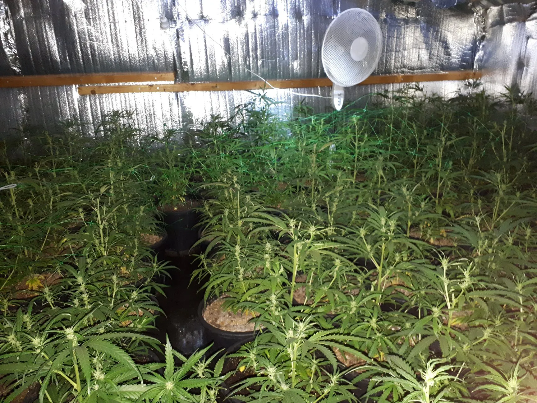 57750899 2294275703945031 4685009339327447040 o