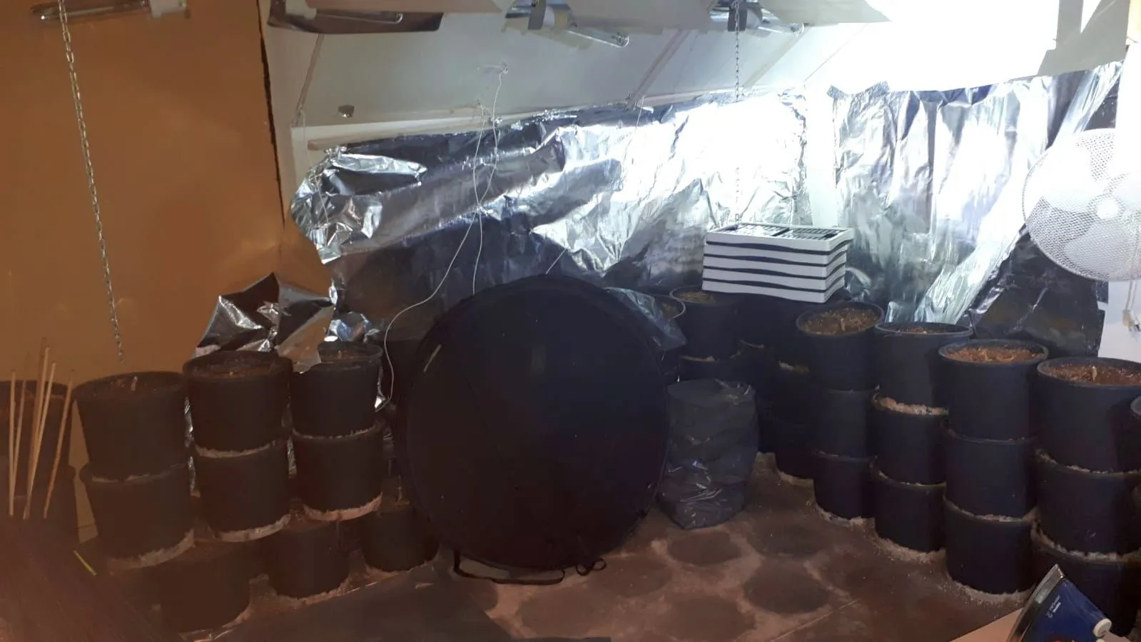 64764051 2399949030044364 3673384411853750272 o