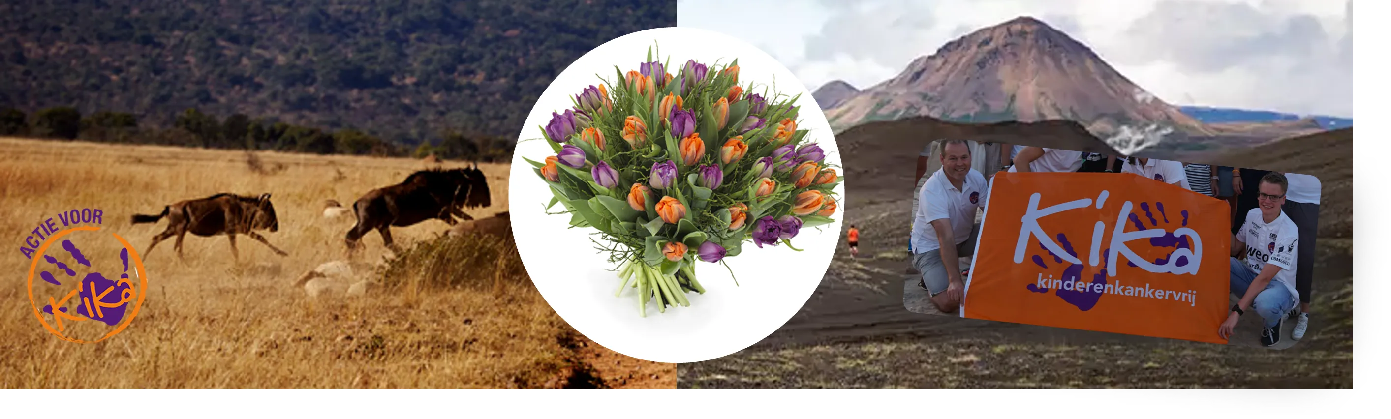 afbeelding formulier tulpen