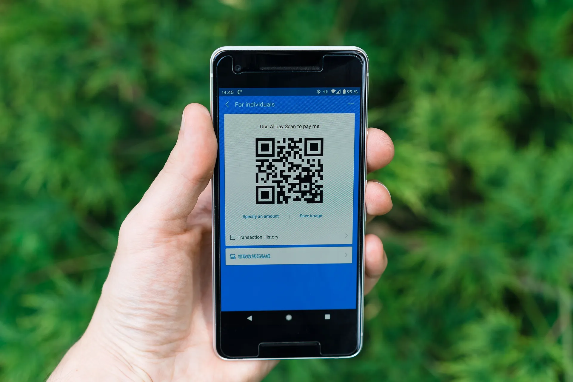 alipay 5417261 1920