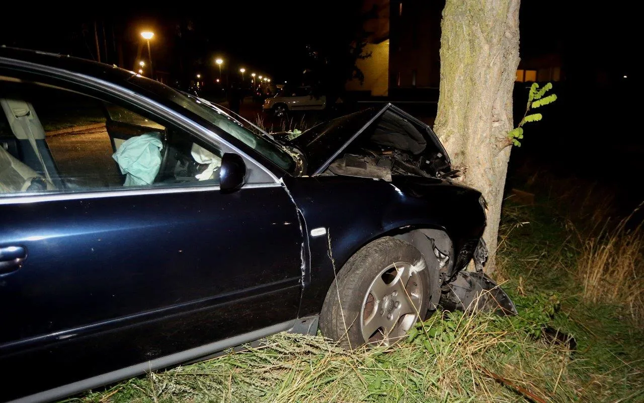 auto tegen boom gassedonklaan den bosch 2