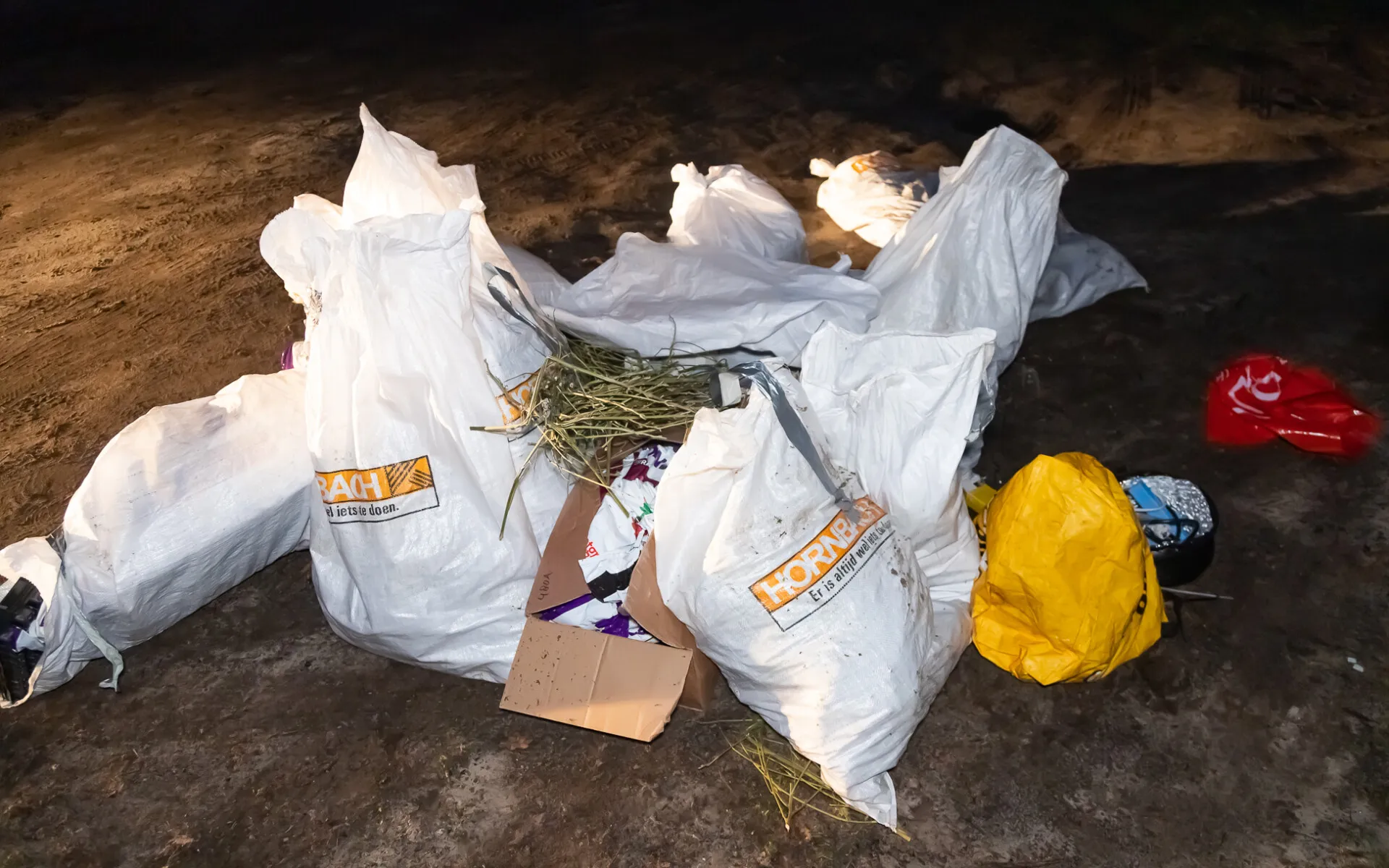 bart meesters 20220123170632 2