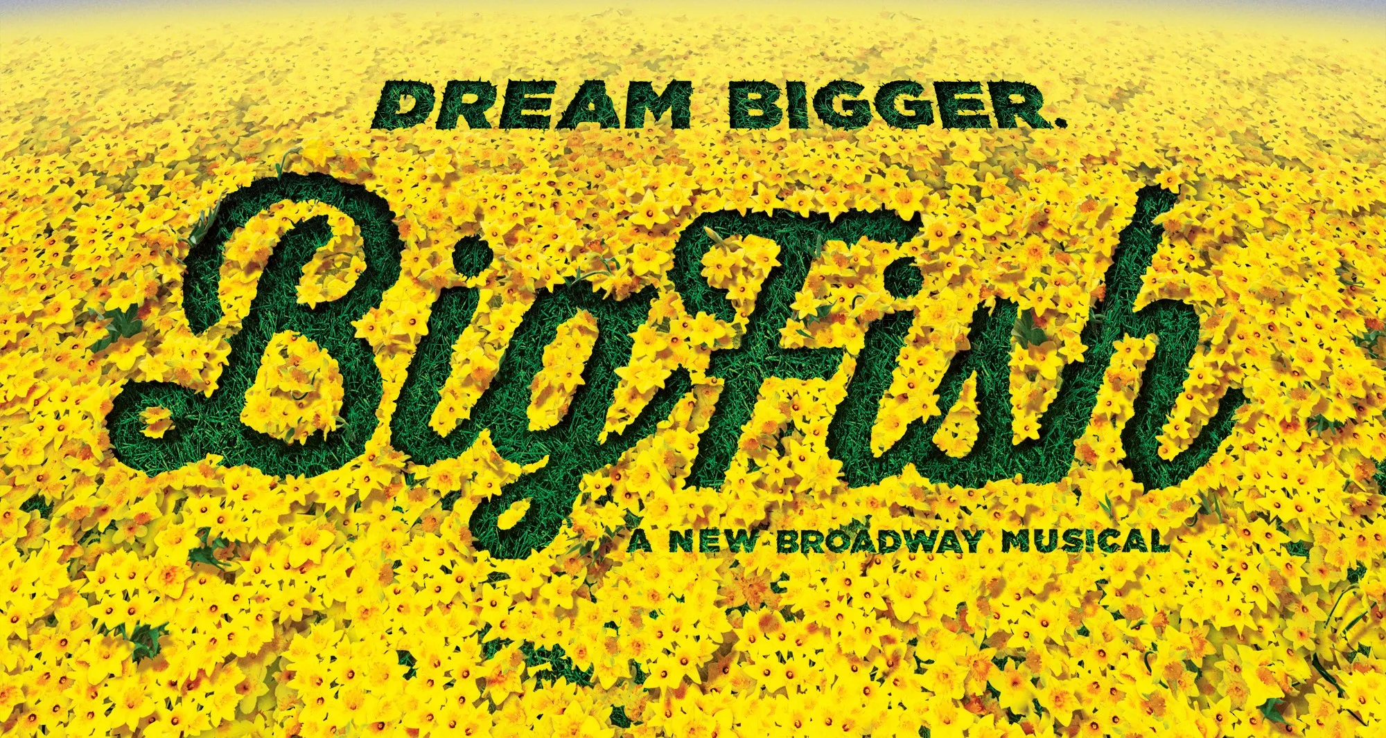 big fish bmt logo hq