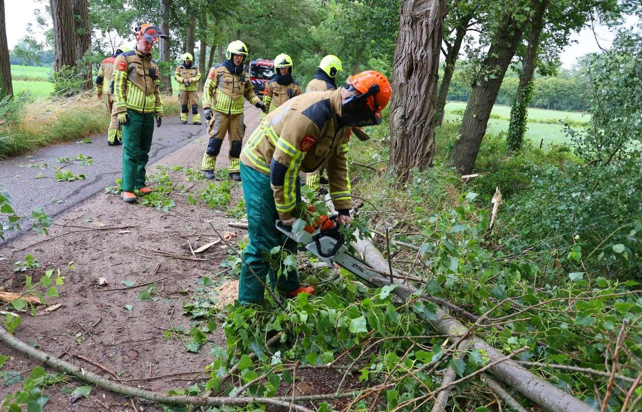 boom over de weg esscebaan 4