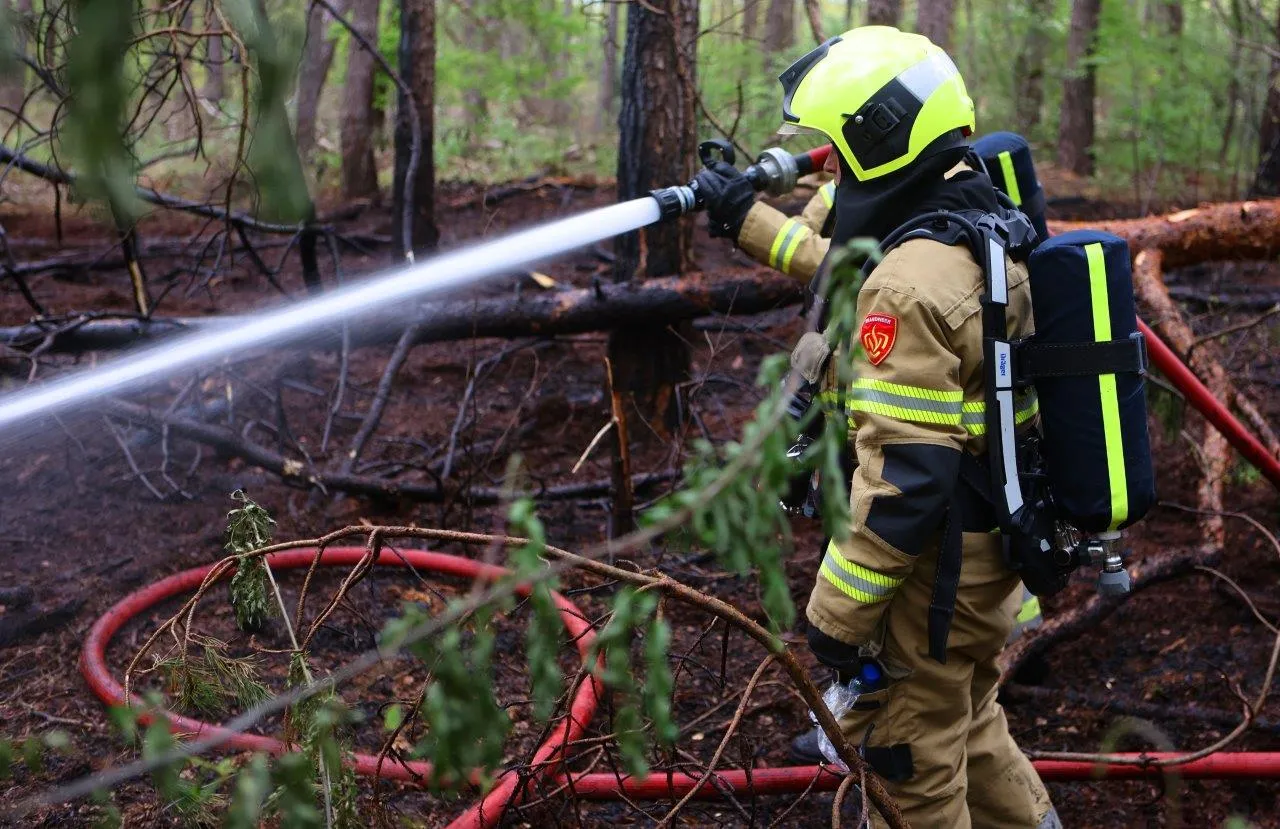 bosbrand hooghei berlicum 6