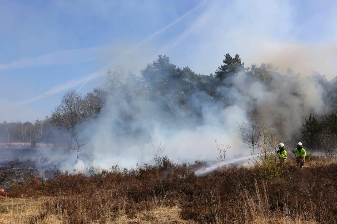 bosbrand vughtse heide vught 5