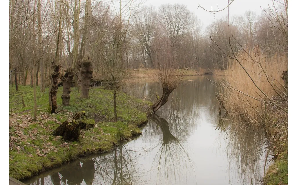 burg van zwietenpark eendenkooi 14