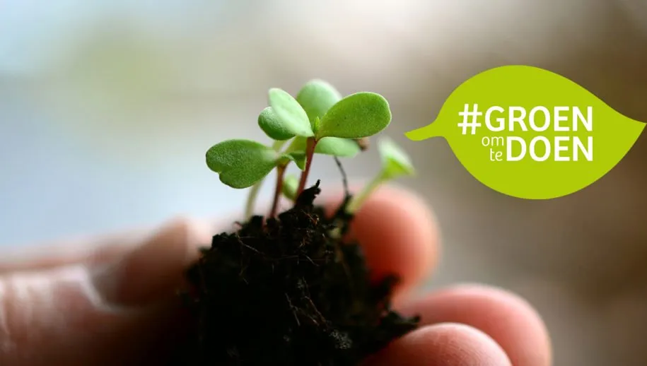 campagneheader 915x518