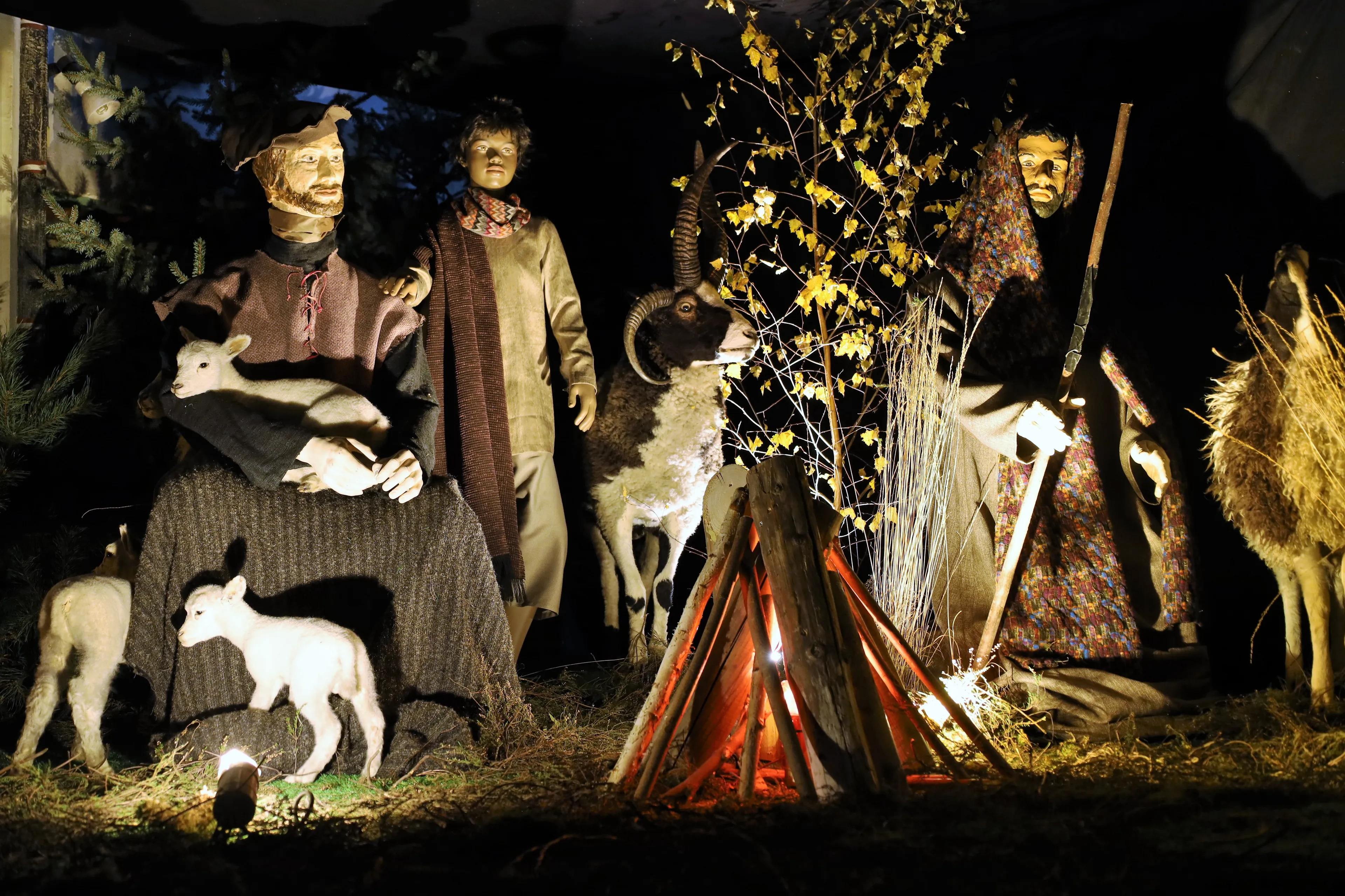 db 5 dec kerststal 038