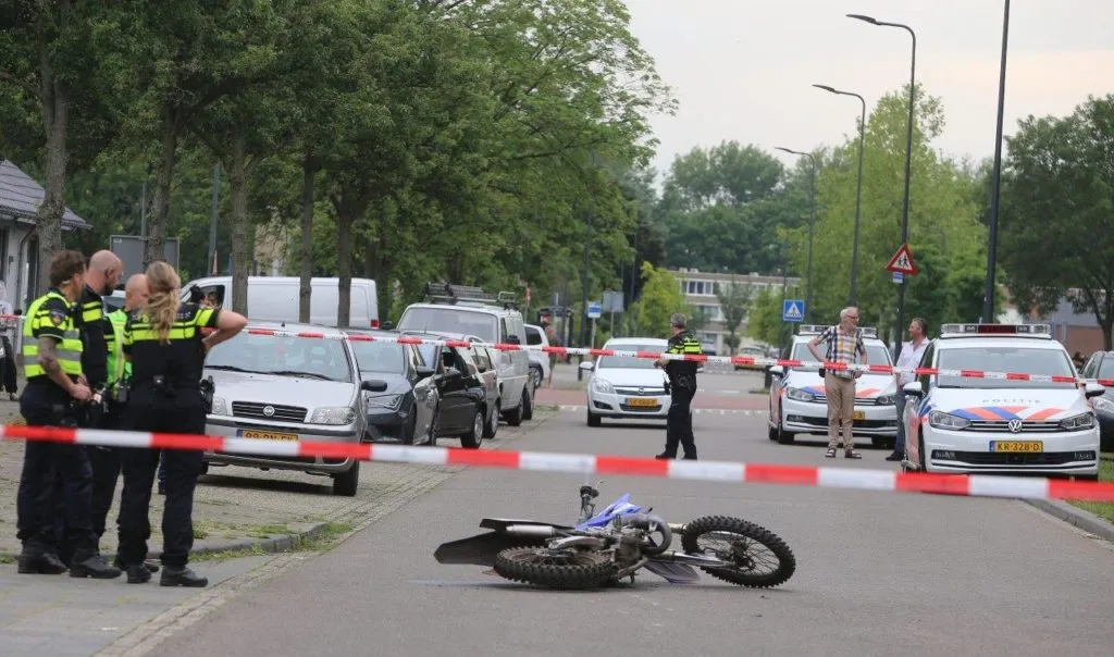 den bosch 6 1024x604