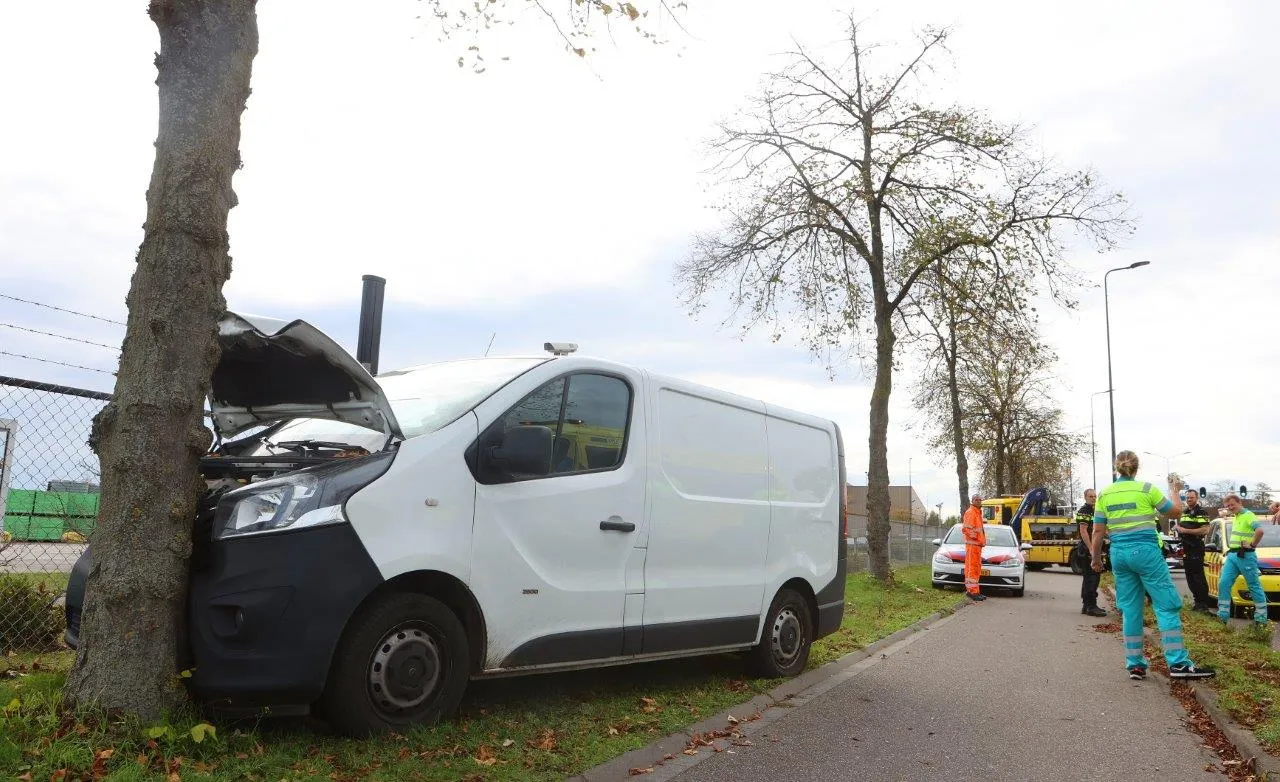 dodelijk ongeval den bosch 8