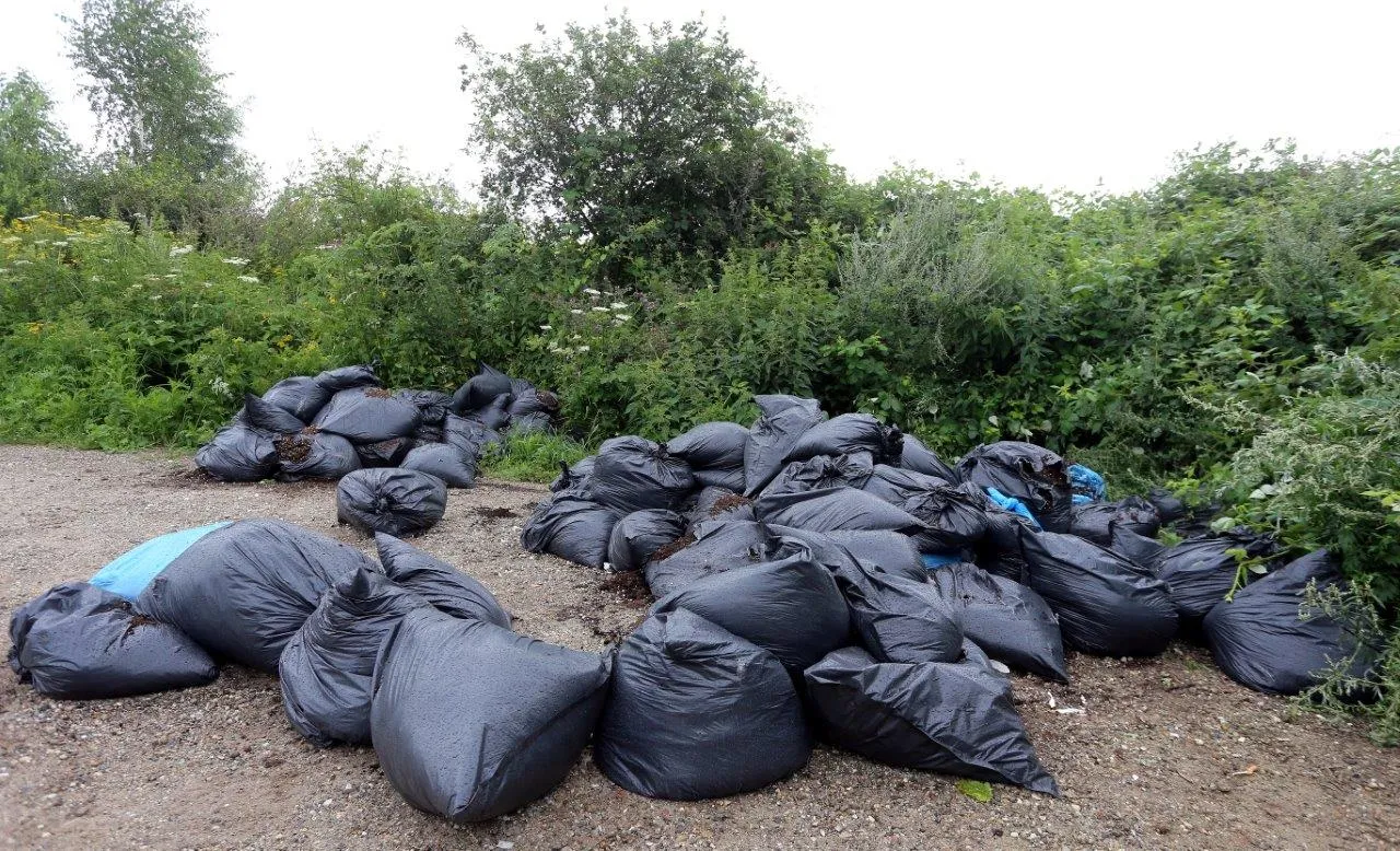 dumping vuilniszakken potgrond den bosch 4