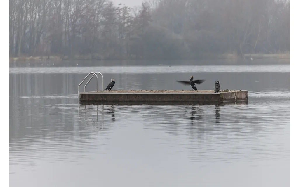 engelermeer 23