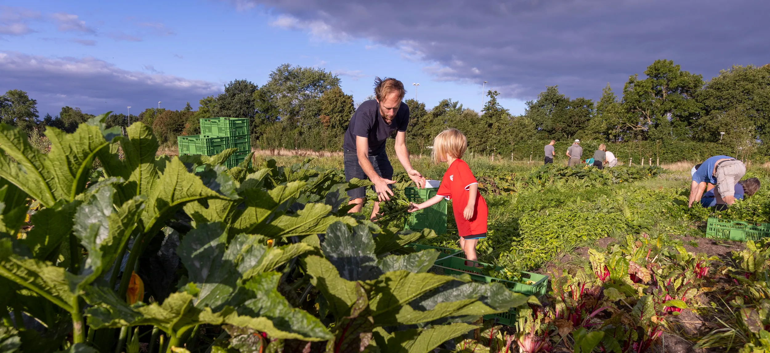 herenboeren mark van stokkom 2