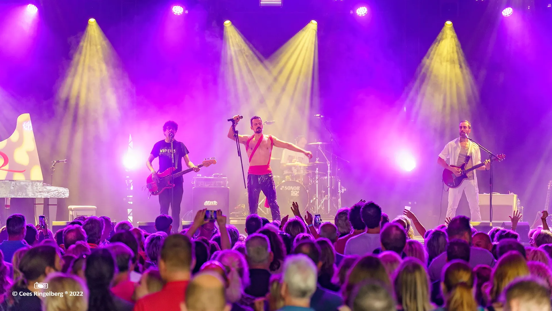 hoge bomen queen by the vipers it 050