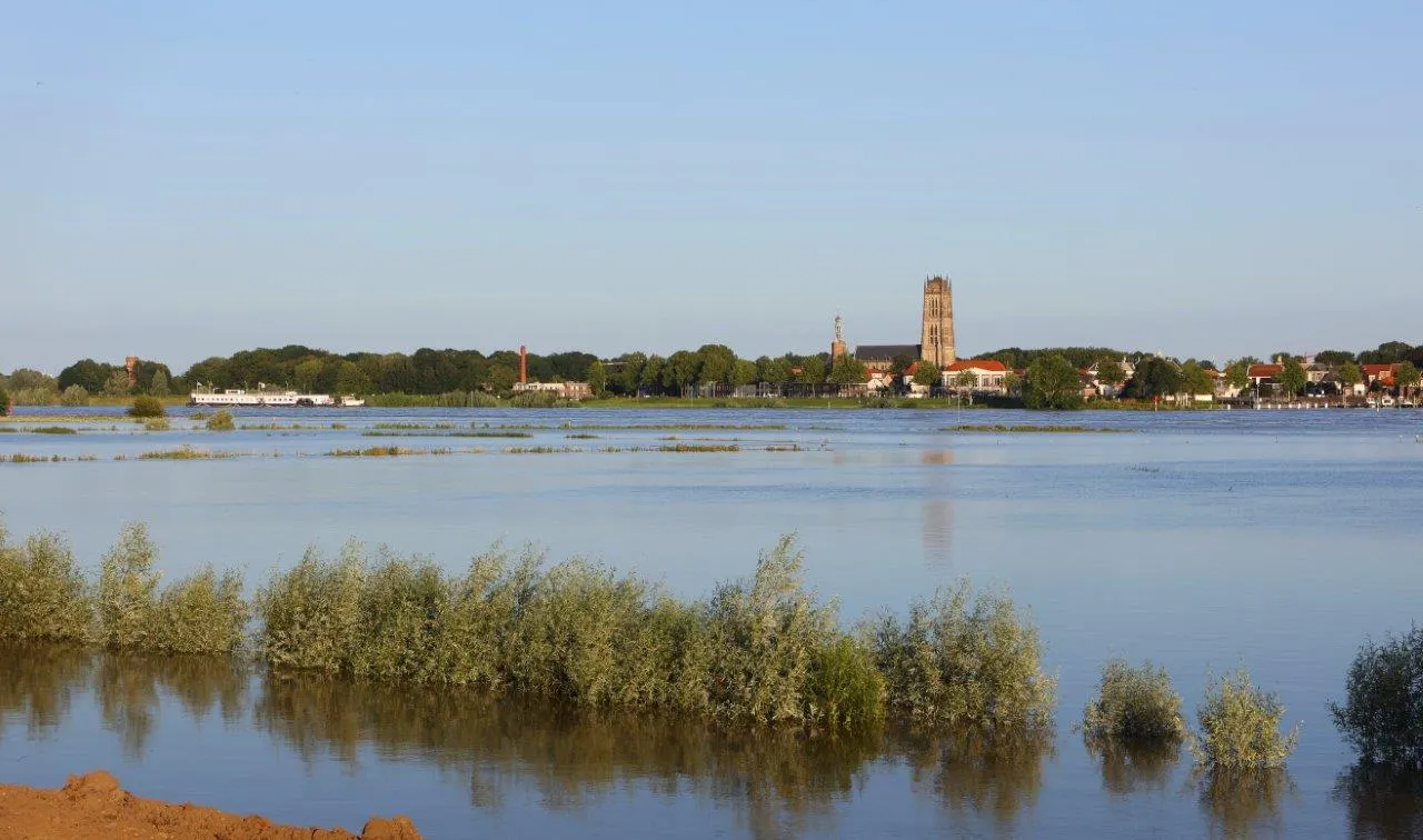 hoogwater waal waardenburg 4