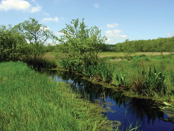 i nlimro 07960002043 1301 0030