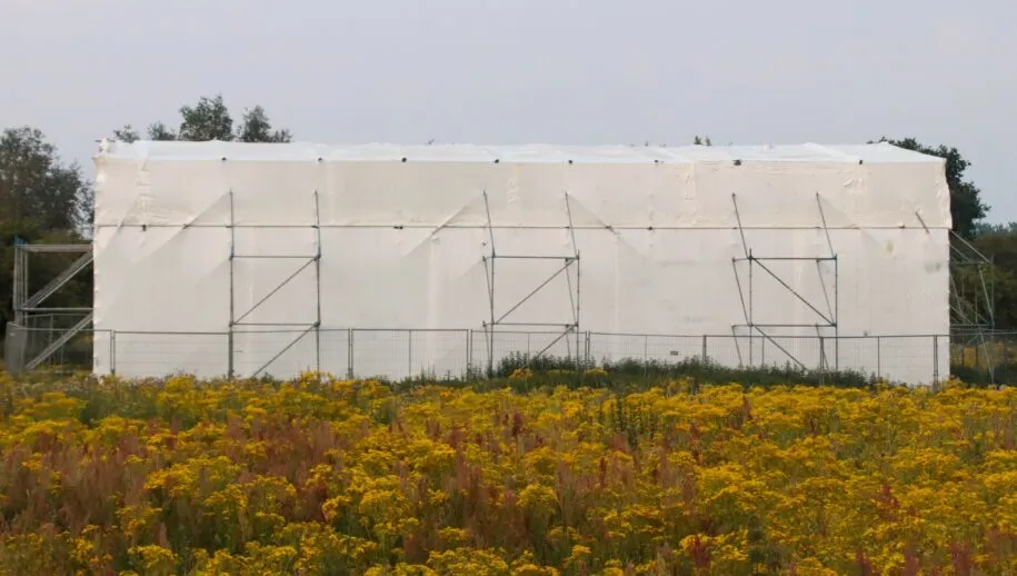 img 9374 003 915x518 1