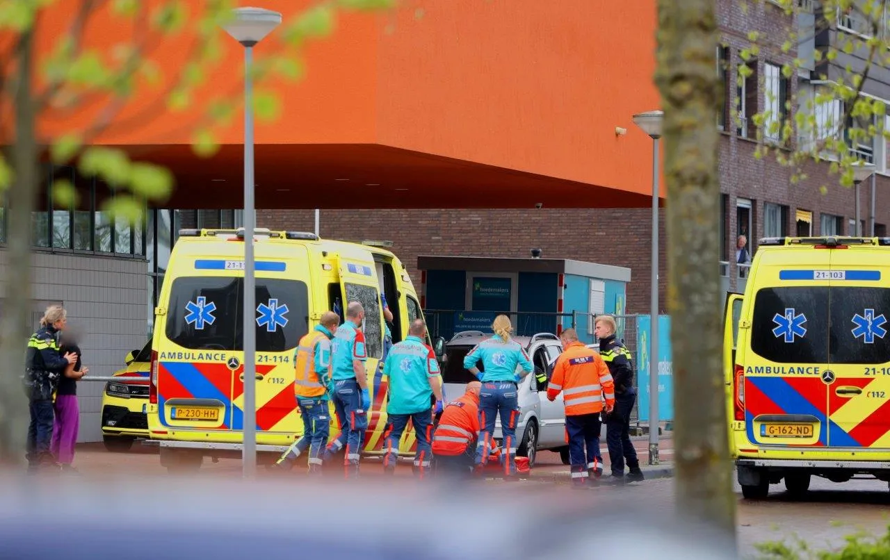 kind gereanmimeerd 7