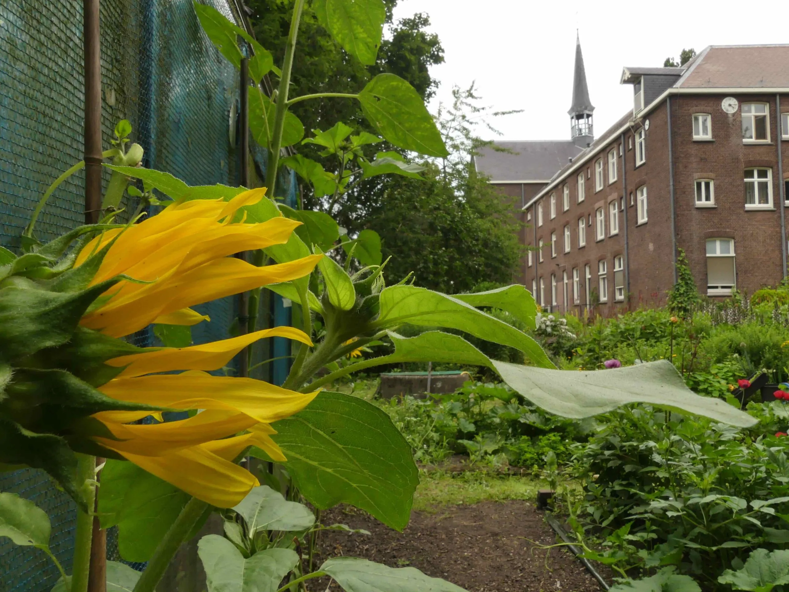 kloostertuin scaled