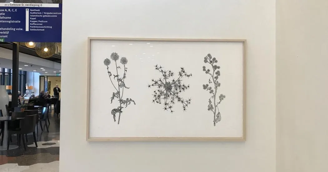 kunst distels ets paul van dongen 2019