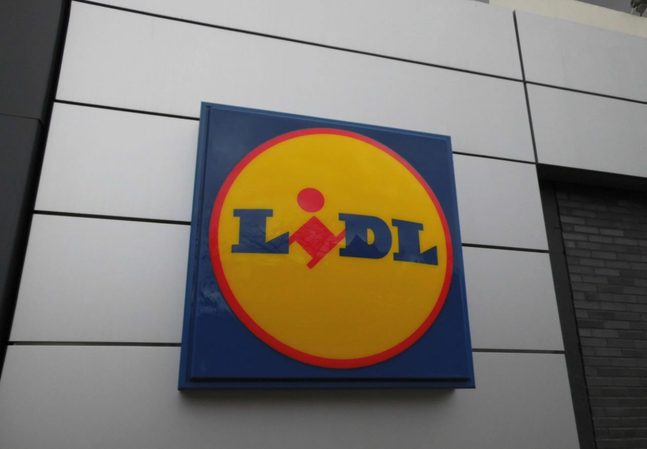 lidl 2 scaled