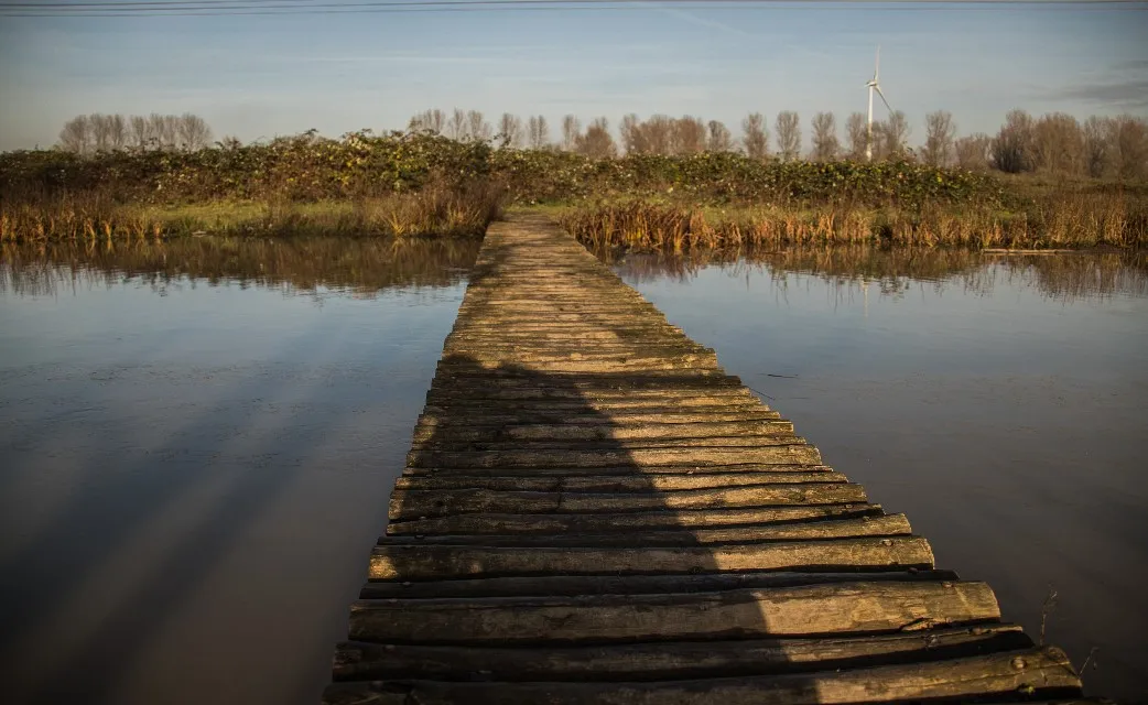 natuur en landschap 9