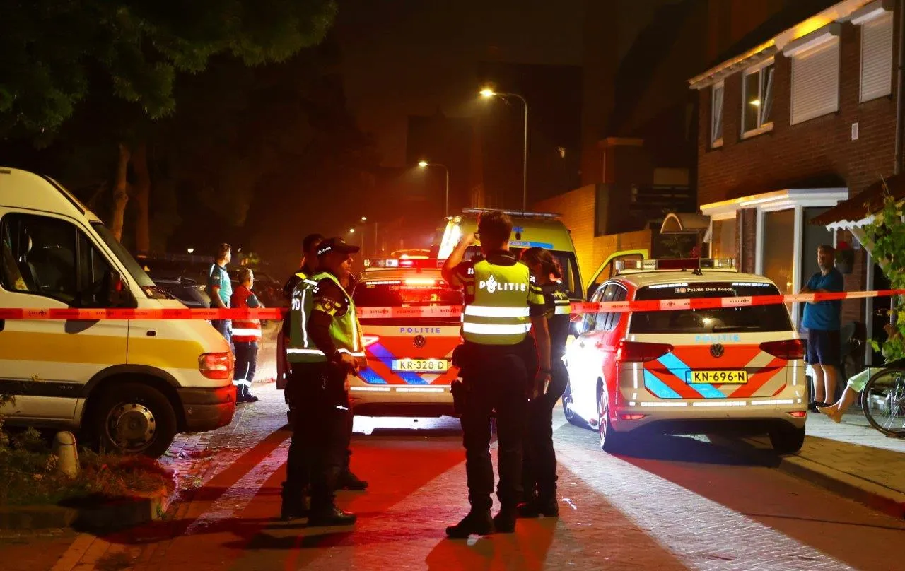 steekpartij acasiasingel dne bosch 6